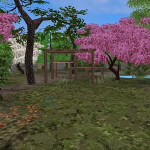 ZT2 Giant Panda exhibit