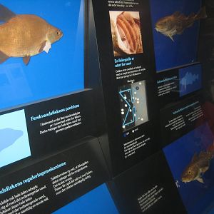 Naturhistorisk Museum Aarhus - Denmark hall