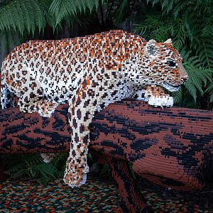 Lego Animals - Jaguar - 15/02/2019