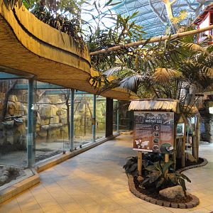 Inside Tropical House
