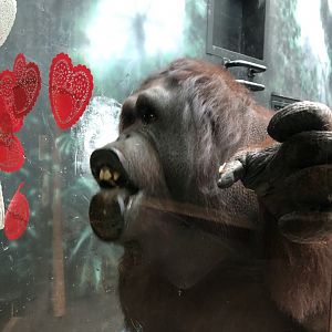 2/14/2019 - Gotta Get That Last Bit!