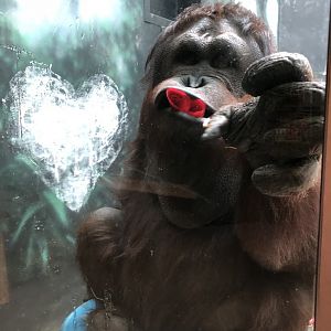 2/14/2019 - Mouthful