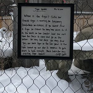 2/14/2019 - Tiger Update