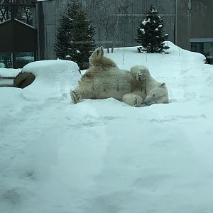 2/14/2019 - Snow Glorious Snow!