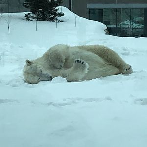 2/14/2019 - Paradise