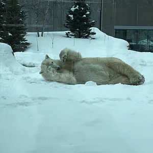 2/14/2019 - Can’t Get Comfy