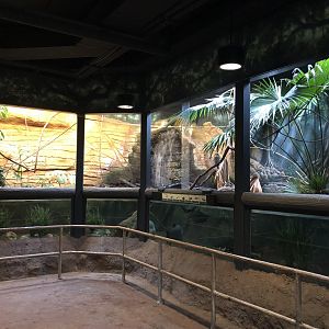 2/14/2019 - Mixed-Species Exhibit