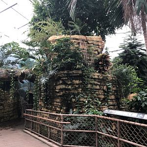 2/14/2019 - Rainforest Aviary General View