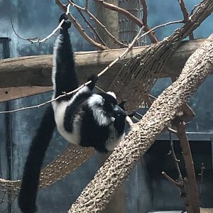 2/14/2019 - Flexible