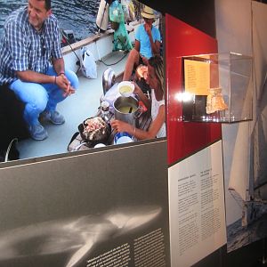 Naturhistorisk Museum Aarhus - "Frihedens værksted"