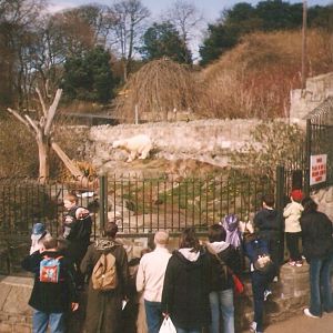 Edinburgh Zoo Polar Bear Enclosure 1990's