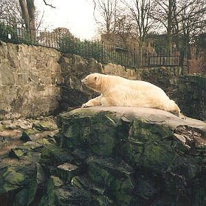 Old Polar Bear Enclosure Edinburgh Zoo - Steller Sea Eagle Enclosure/L'Hoest Monkeys