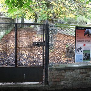 Malayan Tapir Paddock 1 of 2 - Edinburgh Zoo