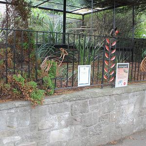 Great Argus Pheasant Enclosure Edinburgh Zoo