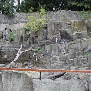 Rock Hyrax Enclosure - Formerly Barbary Macaque/Barbary Sheep - Edinburgh Zoo