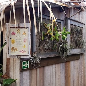 Orchid info display
