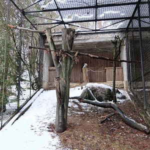 Birds of prey aviary
