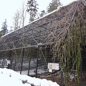 Birds of prey aviary
