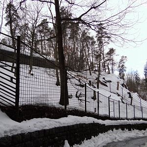 Mountain hoofed mammals enclosure