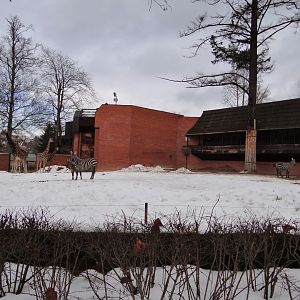 Giraffe and Zebra paddock
