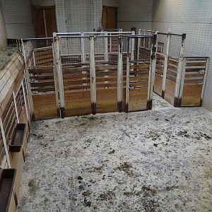 Inside Giraffe House