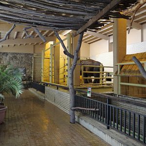 Inside Elephant House