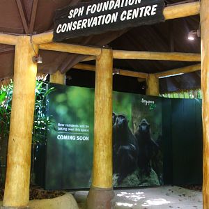 New Sulawesi Crested Macaque exhibit (coming soon)