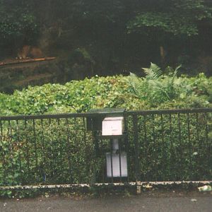 Lions Rock Edinburgh Zoo