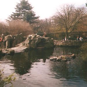 Edinburgh Zoo Sealion Enclosure 1990's