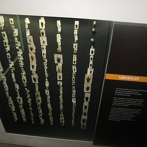 Naturhistorisk Museum Aarhus - "Den globale baghave"