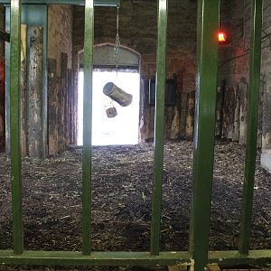 Edinburgh Zoo Rhino House Top