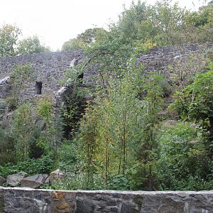 Empty Big Cat Rows Edinburgh Zoo