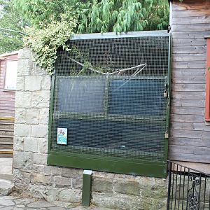 Avairy adjacent to Wee Beasties Edinburgh Zoo