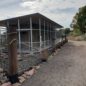 Viscacha - Squirrel - Owl and Chacoan mara-enclosures