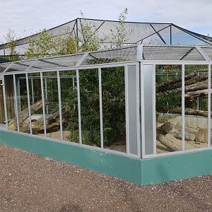 Enclosure Common kusimanse