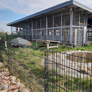 Outdoor-enclosure Azara agouti and South America-building