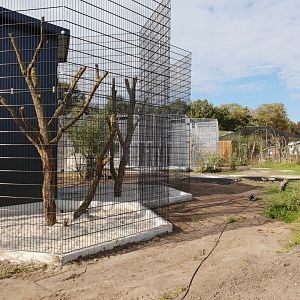 New enclosures under construction