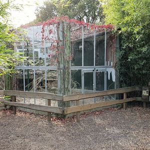 Hyrax - tortoise enclosure
