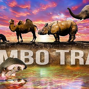 Zoo Tours: The Tembo Trail & the Hippoquarium