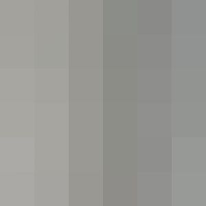 White cheeked gibbon