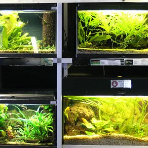 Smaller Freshwater aquariums