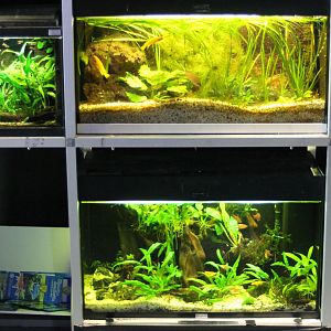 More small Freshwater aquariums