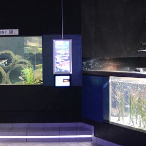 North Sea - Baltic Sea aquariums