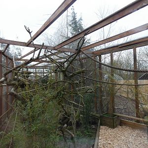 Ring-tailed Lemur enclosure