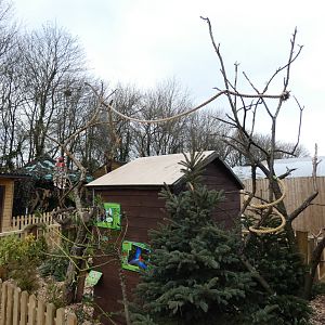 Green-winged Macaw enclosure
