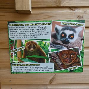 Prosimian signage