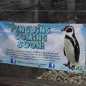 Signage in Penguins
