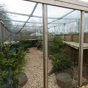 'Silver' Fox enclosure