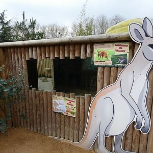 Wallaby and Mara house