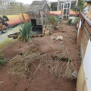 One of the Meerkat exhibits